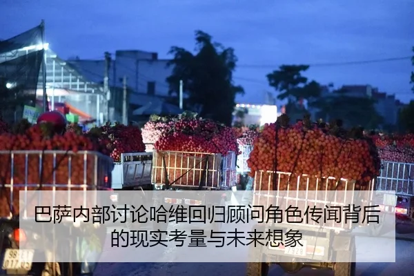 巴萨内部讨论哈维回归顾问角色传闻背后的现实考量与未来想象